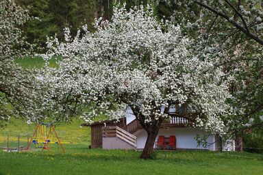 Gemütliches Ferienhaus in Hart Im Zillertal mit Garten, Terrasse und Grill