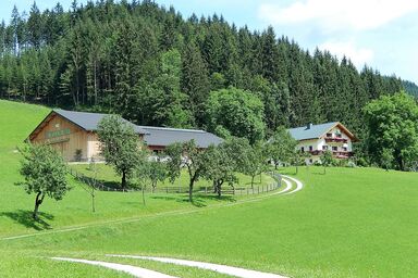 Biobauernhof Poidlbauer - Doppelzimmer "Perneggblick"