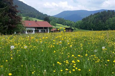 Ferienhaus Froschsee - Ferienhaus bis 10 Personen 165 qm mit Balkon, Terrasse und 5 Schlafzimmern