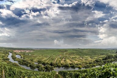 Weingut - Ferienwohnung Rudloff - Nordheimer Vögelein