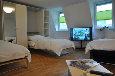 Congress Apartments by Hotel Du commerce - Double room
