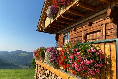 Chalet Hütte in Kärnten - Chalet Kärnten