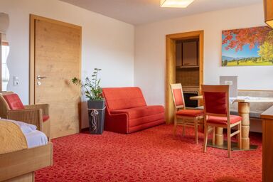 Hotel Appartement Hochkönig - App. 207 - 1 Schlafzimmer, Wohn-/Schlafraum, Bad