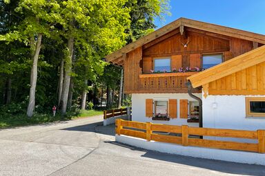 Idyllische Auszeit am Waldweg